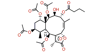 Briaexcavatolide Q